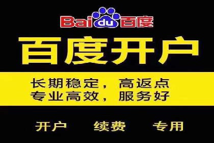 百度竞价赚钱的实战案例分析